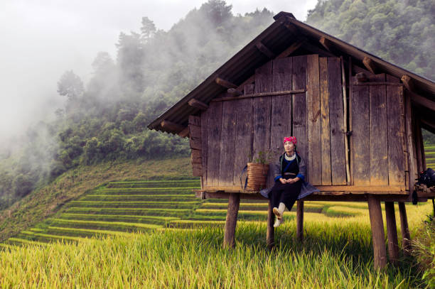 Hmong woman standing on rice terraces in Mu Cang Chai, Vietnam stock photo