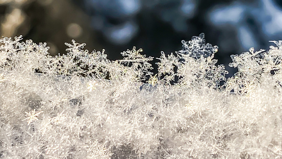 A frozen grape, delicately encased in frost, stands against a snowy backdrop tinged with shades of blue, capturing the serene beauty of winter.