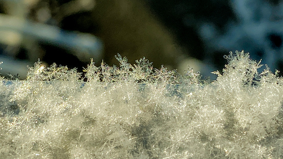 Snow flakes show their fragility as they gently fall to the rough surface. Some of the flakes manage to hold together and show off their crystal formations.
