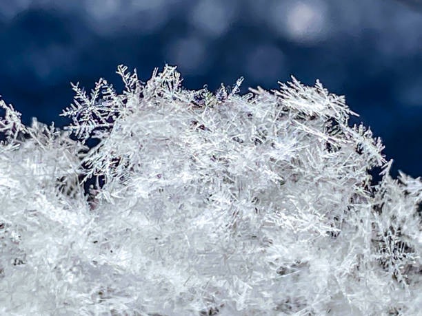 Snow flakes show their fragility as they sit, stacked upon each other on a bright cold winter day in Alaska.