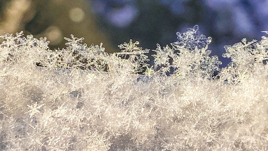 Snow flakes show their fragility as they sit, stacked upon each other on a bright cold winter day in Alaska.