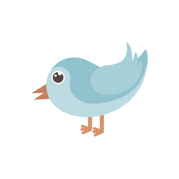 Ilustración de Pajarito La Imagen De Un Pájaro Azul Lindo Pájaro En Estilo De Dibujos Animados Ilustración Vectorial Aislada Sobre Un Fondo Blanco y más Vectores Libres de Derechos de Abstracto - iStock Ilustración de Pajarito La Imagen De Un Pájaro Azul Lindo Pájaro En Estilo De Dibujos Animados Ilustración Vectorial Aislada Sobre Un Fondo Blanco y más Vectores Libres de Derechos de Abstracto - iStock