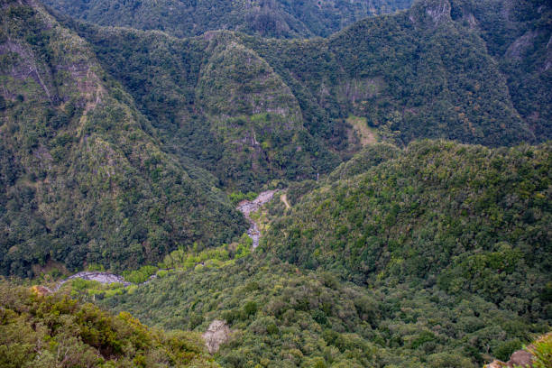 istock Madeira island in autumn 1442397159