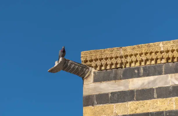 Photo of rain gutter made of stone. pigeon on the ancient building roof.