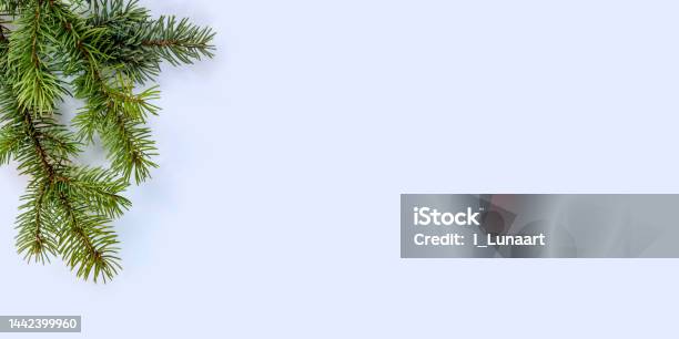 Winter Background Fir Tree Branches On A Blue Backgroundflat Laycopy Space Stock Photo - Download Image Now