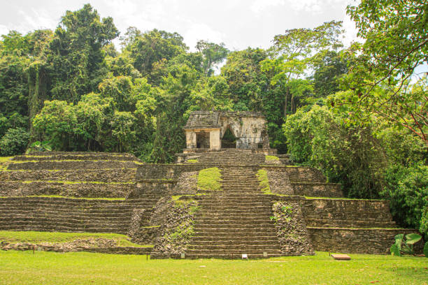 istock Palenque archaeological site in Mexico 1442403411