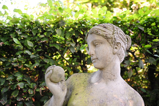 A closeup of a stone statue of eve holding an apple at a garden with a leafy hedge in the background