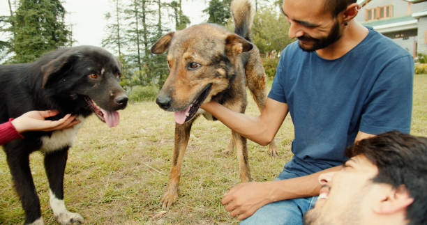 Indian friends playing with dogs in a park