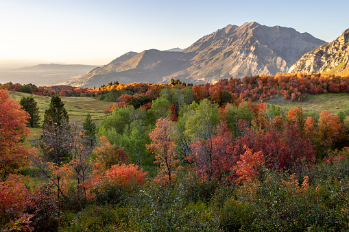 A picturesque valley with a view of Squaw Peak in autumn in the background, USA