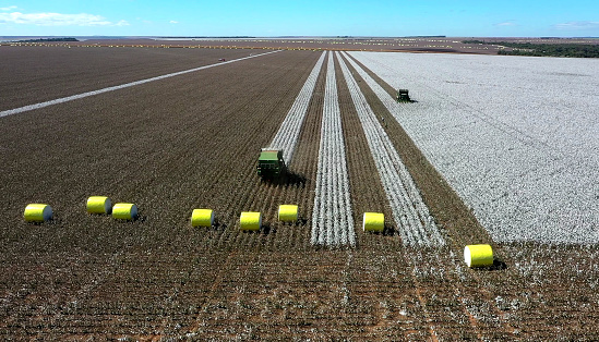 An aerial view of tractors harvesting cotton in the field in Goias, Brazil