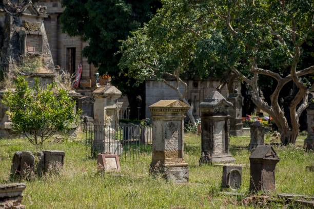 belen cemetery of guadalajara Belen cemetery tombs in day of the dead in Guadalajara Jalisco Mexico, pantheon santa paula, halloween concept all hallows by the tower stock pictures, royalty-free photos & images