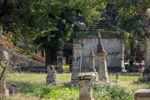 belen cemetery of guadalajara Belen cemetery tombs in day of the dead in Guadalajara Jalisco Mexico, pantheon santa paula, halloween concept all hallows by the tower stock pictures, royalty-free photos & images