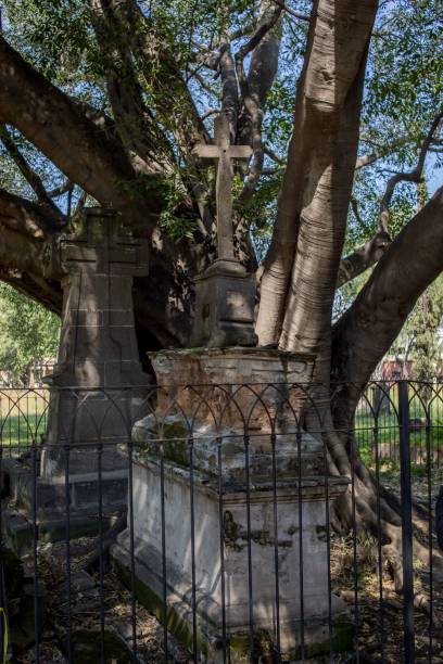 belen cemetery of guadalajara Belen cemetery tombs in day of the dead in Guadalajara Jalisco Mexico, pantheon santa paula, halloween concept all hallows by the tower stock pictures, royalty-free photos & images