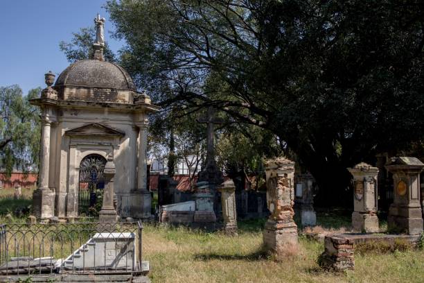 belen cemetery of guadalajara Belen cemetery tombs in day of the dead in Guadalajara Jalisco Mexico, pantheon santa paula, halloween concept all hallows by the tower stock pictures, royalty-free photos & images