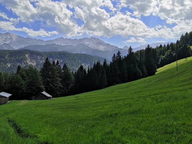 istock Cloudy blue sky over the green field and dense trees in spring 1442413689