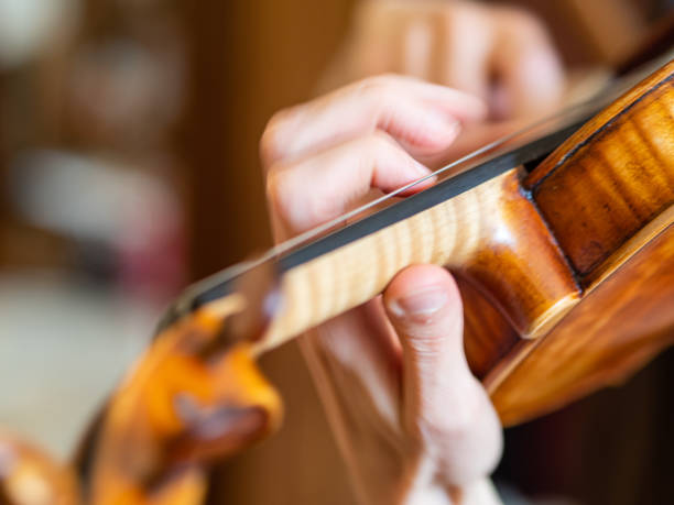 istock Caucasian woman violinist hands playing a violin 1442413891