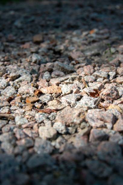 istock Vertical closeup of the ground with small rocks. 1442414244