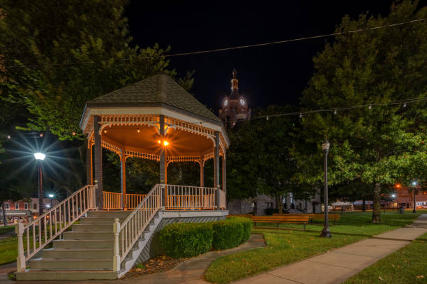istock Small gazebo in the park at night 1442416355