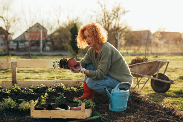istock woman feeling relaxed gardening in her backyard 1442417464