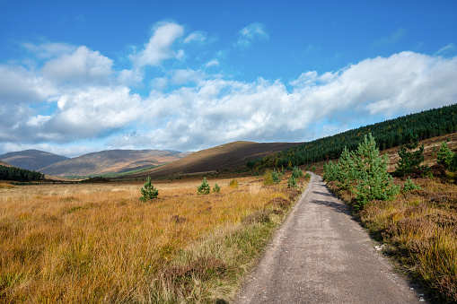 A remote dirt road in the Cairngorms mountains in Northern Scotland