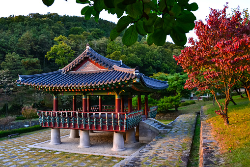 A beautiful shot of a pavilion of traditional Korean architecture in a park in Daejeon, South Korea.