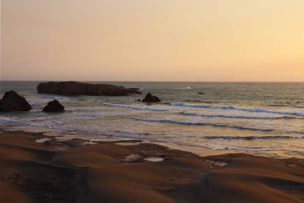 istock Sandy coast of the Pacific Ocean during sunset, sunrise 1442421109