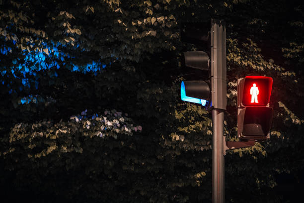 istock Traffic light pole on the red light outdoors - traffic control in the evening 1442422253