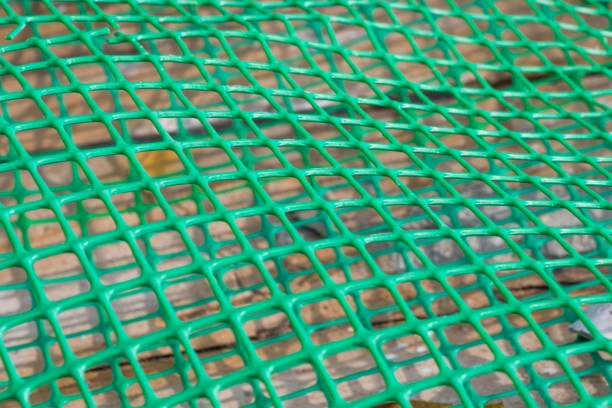 istock Fence background, green fence closeup and texture 1442424397