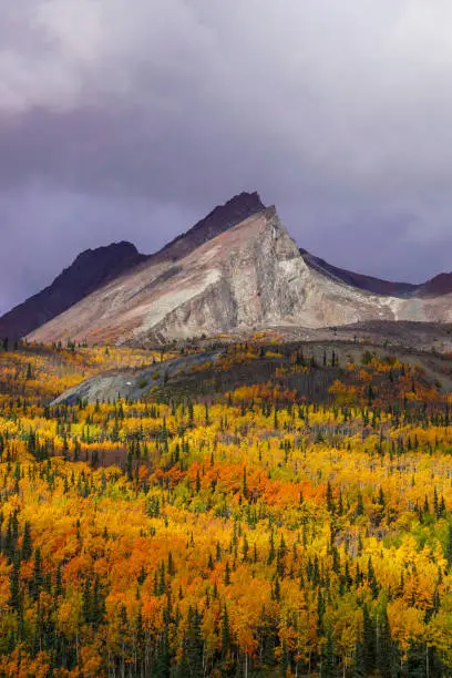 A view of the Talkeetna Mountains from Glacier View, Alaska, in peak fall.