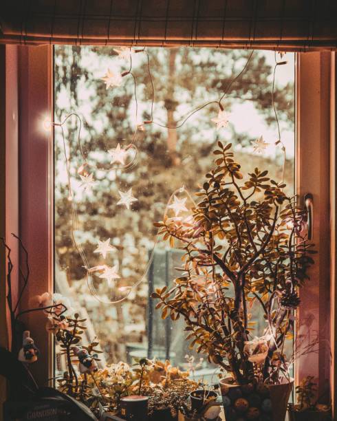 istock Beautiful view of a decorated window in winter 1442425419