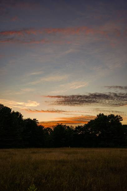 istock View of the forest on the hills on a sunset 1442426219