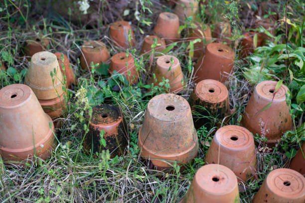 istock Selective focus shot of clay pots for irrigation 1442426465