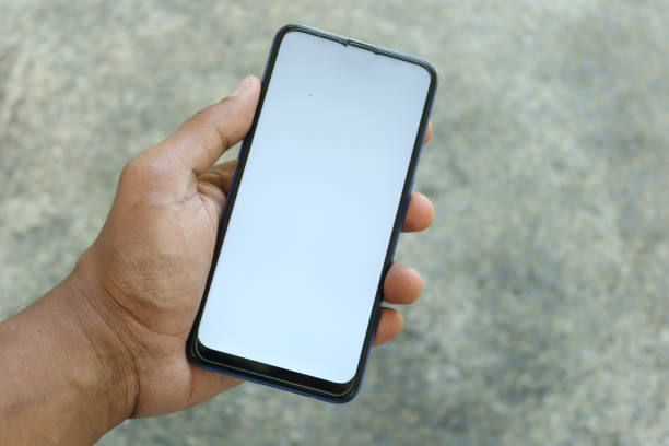 istock Close up of young man hand using smart phone with green screen 1442428912