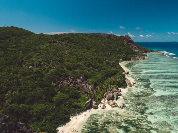 istock Scenic View Of Beach Against Sky 1442439014