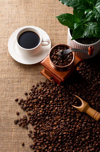 Coffee image using coffee beans, coffee mills and coffee trees