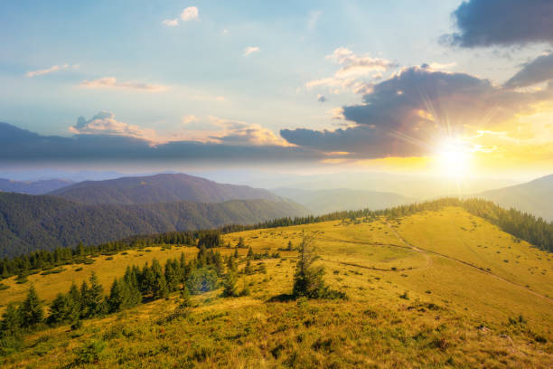 istock green nature environment of trascarpathia at sunset 1442446393