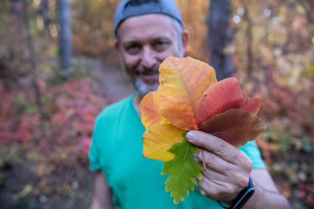 istock The colors of autumn. 1442446981