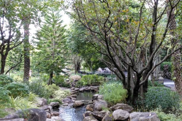 istock garden with stone and trees 1442447986