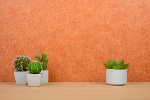 Cacti and succulents (artificial) on a terracotta background