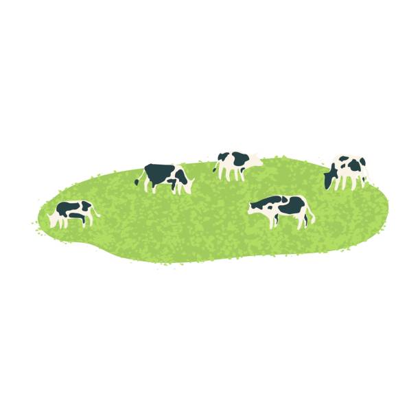 Illustration of Herd of Cows in the Meadow Vector Colorful Illustration of Cows in the Meadow Isolated on White Background herd of cows stock illustrations