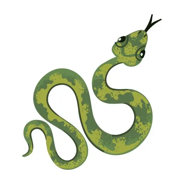 Vector illustration of Snake Colorful Illustration