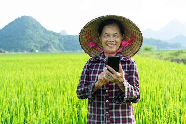 istock Farmer woman in the rice field 1442455726