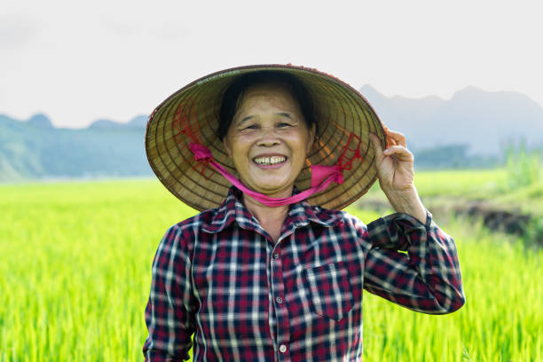 istock Farmer woman in the rice field 1442455746
