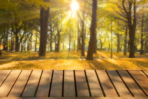 istock wooden table with forest bokeh background 1442468952