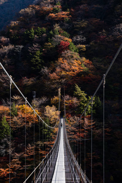 istock Autumn leaves and suspension bridge 1442470127
