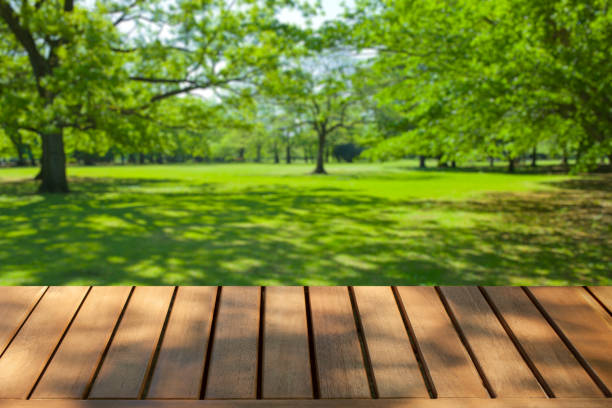 istock wooden table with park bokeh background 1442470144