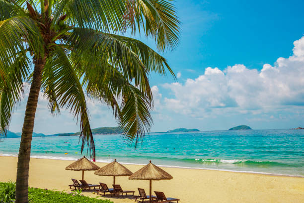 Lotus Village Resort, Mui Ne, Vietnam,asia