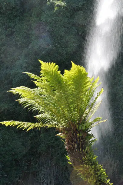 Photo of Jardin Extraordinaire, a garden in Nantes