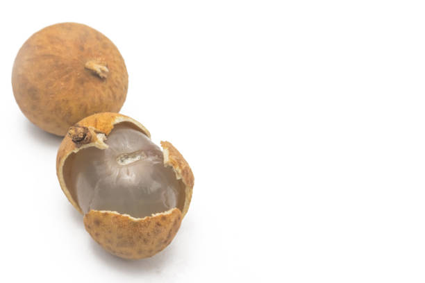 istock Close-up of two Dimocarpus longans on a white background. 1442478377