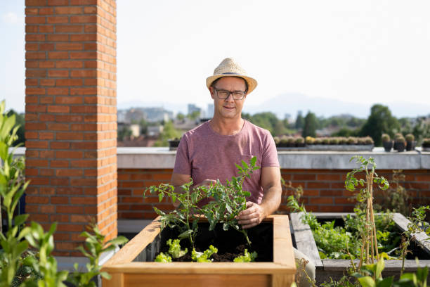 istock Man working in vegetable garden 1442478668